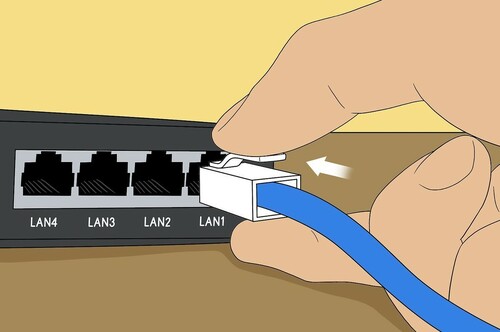 network connection.jpg